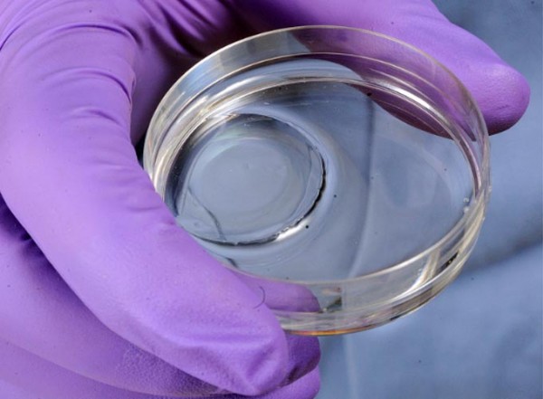 novo-gel-regenera-queimaduras-sem-cicatriz