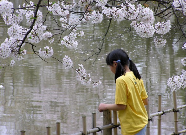 девушка сакура