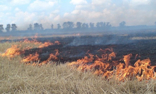 пожар на поле