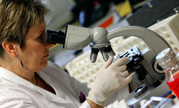 вирус эболы