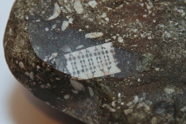 камень с микрочипом