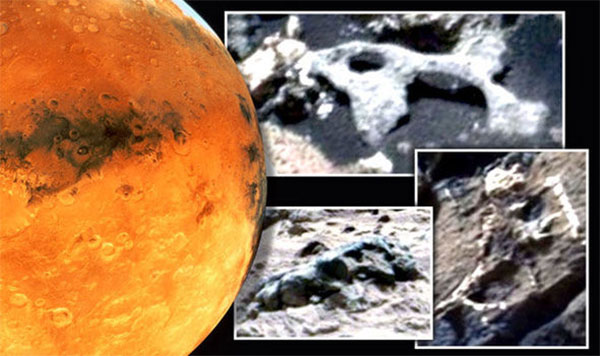 останки неизвестного существа на Марсе