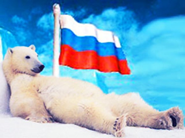 Россия Арктика медведь