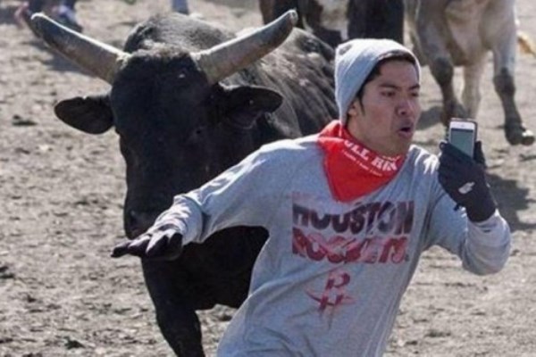 В Испании бык убил мужчину из-за попытки сделать селфи