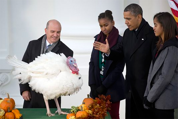 Барак Обама индейка