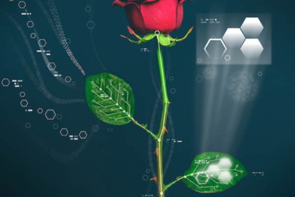 растения-киборги