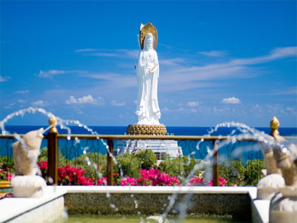 1357758343_1331628723_73df19193560