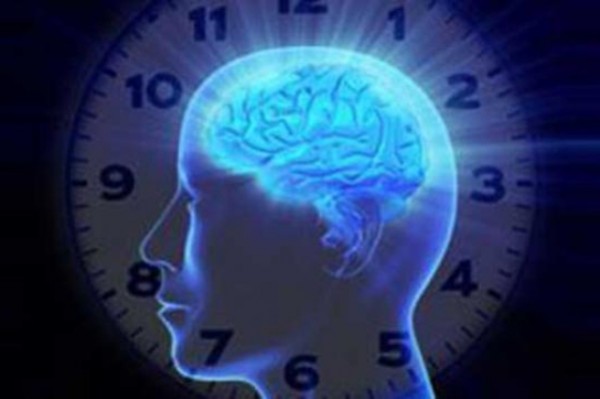 молекулярные часы