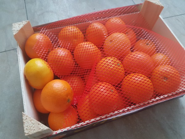 __ мандарины, апельсины, цитрус