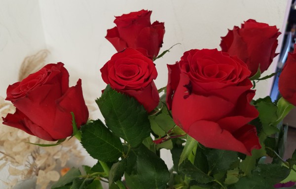 __ розы, цветы