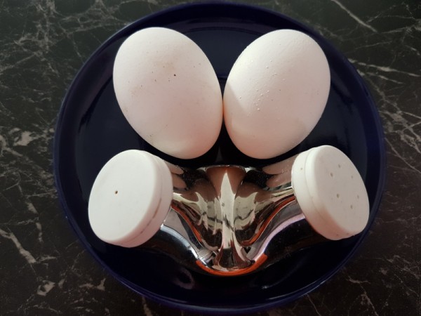__ яйца, яйцо